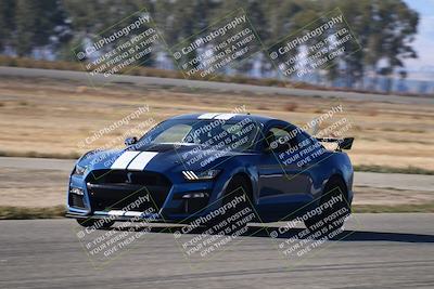 media/Nov-24-2023-Speed SF (Fri) [[8629a6e656]]/Green/Grid and Front Straight/
